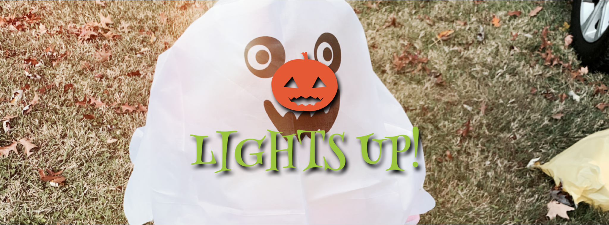 lightsup banner